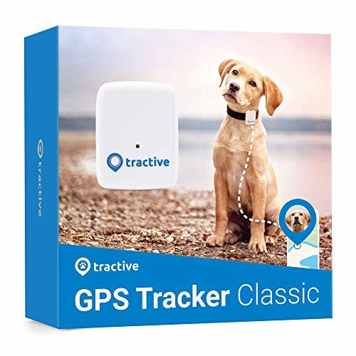 Tractive GPS Gerät Hunde-GPS-Tracker mit App. Die leichte und wasserdichte Hund-GPS-Halsband-Erweiterung